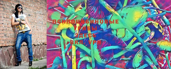 spice Абаза