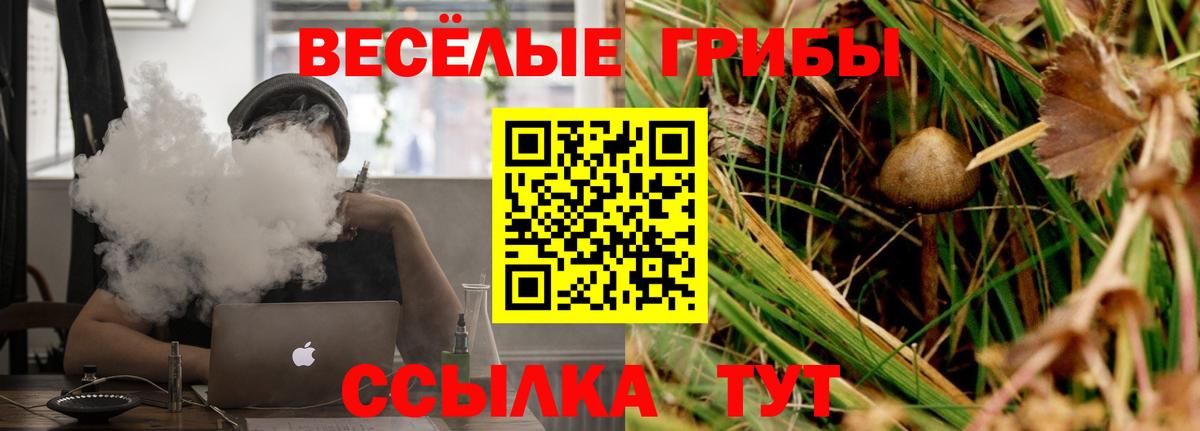 Галлюциногенные грибы ЛСД Зеленодольск