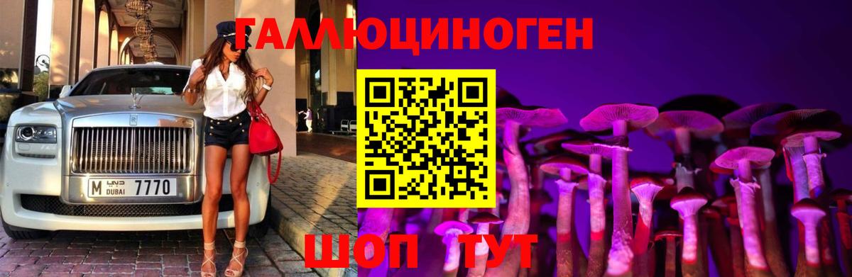 Зеленодольск  магазин продажи   Вход с VPN  Псилоцибиновые грибы Psilocybine cubensis 